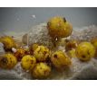 LK Baits Nutrigo Balanc Particle Honey Tiger Nuts 200ml - VÝPRODEJ