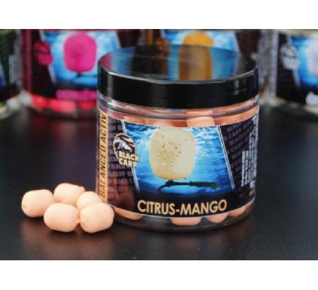 Black Carp Balanced Activ Boilie CITRUS - MANGO 14mm 90gr - VÝPRODEJ